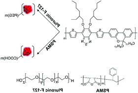 Graphical abstract: Bright red fluorescent conjugated polymer nanoparticles with dibenzopyran as electron donor for cell imaging